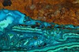 Polished Chrysocolla & Plume Malachite - Bagdad Mine, Arizona #136117-1